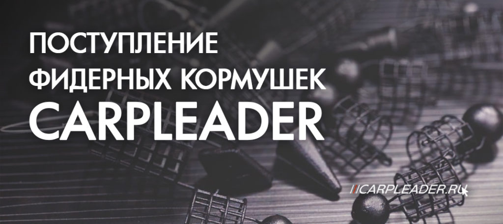 Отзывы О Интернет Магазине Carpleader