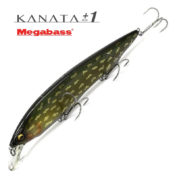 KANATA +1 PM NORTHERN PIKE