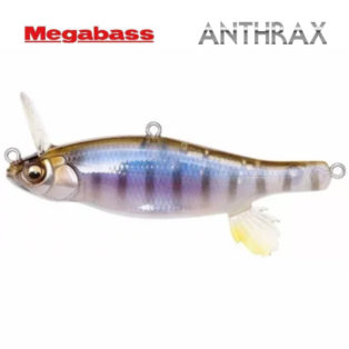 Воблер Megabass Anthrax Gillkko