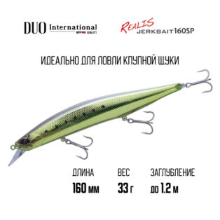 Воблер DUO Realis Jerkbait 160SP SW MCC3520 UV Full Metal Chart Sardine