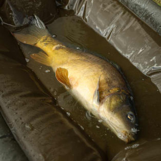 Мат карповый Fox Carpmaster Welded Cradle