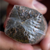 ПВА мешки Avid Carp Transfer Solid PVA