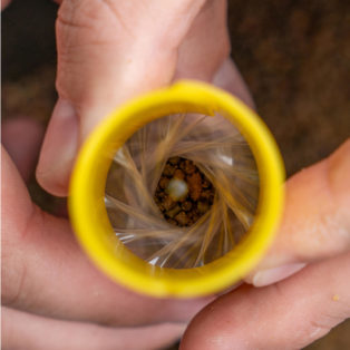 ПВА мешки с воронкой Avid Carp Transfer Solid Bag System