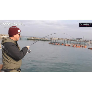 Спиннинг Graphiteleader Finezza