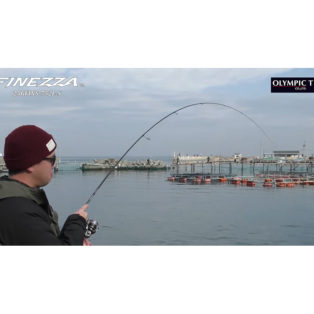 Спиннинг Graphiteleader Finezza