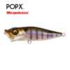 Воблер Megabass POP-X - gillkko