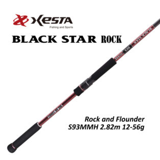 Спиннинг Xesta Black Star Rock S93MMH 2.82m 12-56g Rock and Flounder